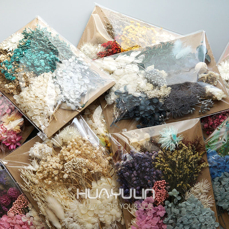 Dried Flower Bulk - 1-pack kunstplanten gedroogde echte bloemen geconserveerde