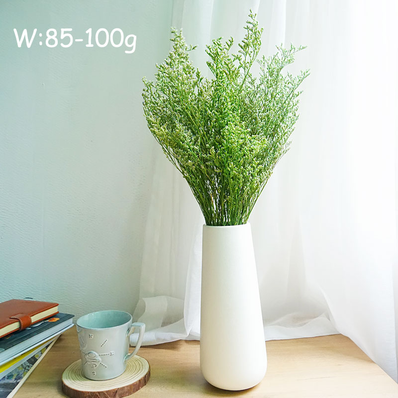 70g/geconserveerd Valentijnsgr - Dried Flower Bulk recensie en prijs