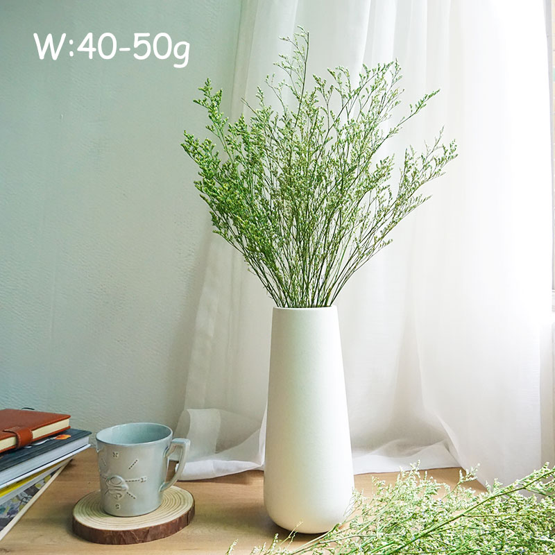 70g/geconserveerd Valentijnsgr - Dried Flower Bulk recensie en prijs